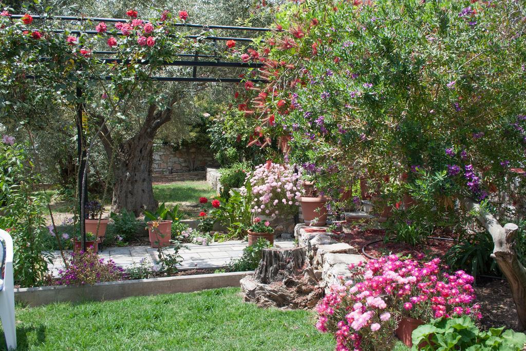 Villa Penelope Megali Ammos  Extérieur photo